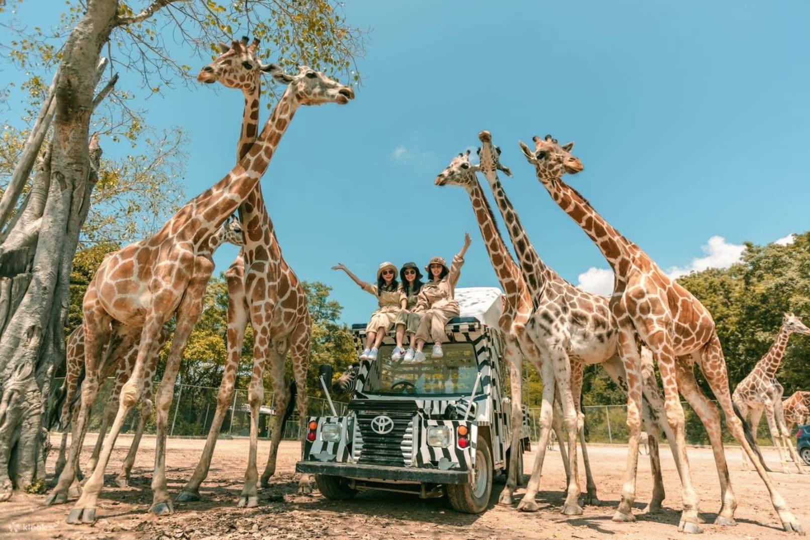 Vé Safari World Bangkok và Xe Đưa Đón Khứ Hồi - Laka